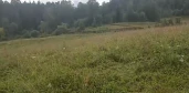 Земельный участок, площадью 2196 кв.м., кадастровый номер: 04:03:050301:8, земли населенных пунктов, для индивидуального жилищного строительства, расположенный по адресу: Республика Алтай , Турочакский р-н, Санькин Аил с, Центральная ул, дом 26